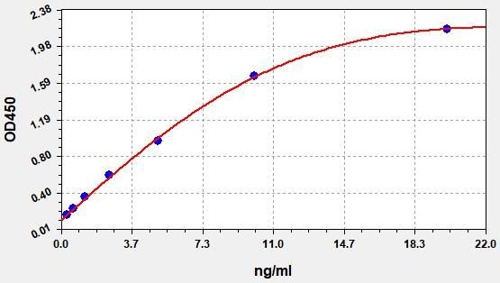 Rat MMP-13 ColorStep ELISA Kit (AEFI03313)