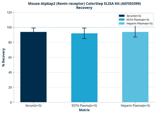 Mouse Atp6ap2 (Renin receptor) ColorStep ELISA Kit (AEFI03399)