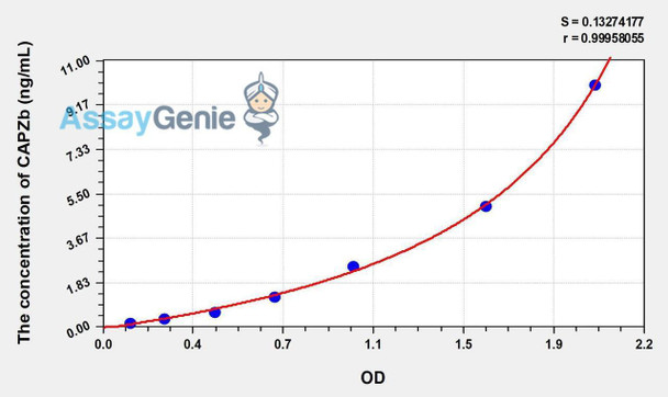 Human CAPZb (Capping Protein Muscle Z Line Beta) ELISA Kit (AEKE00670)