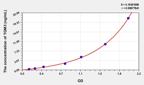 Mouse TGM3 (Transglutaminase 3, Epidermal) ELISA Kit (AEKE00849)