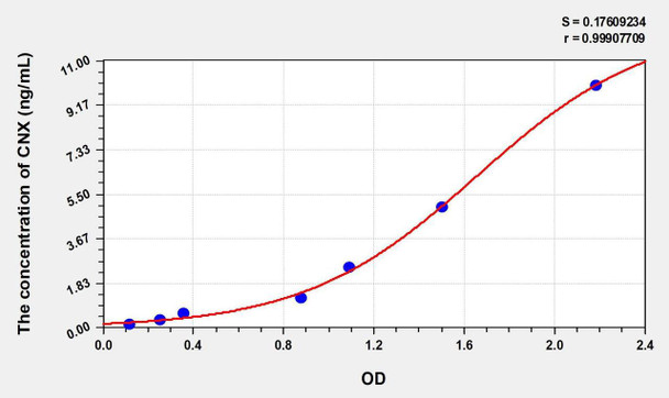 Human CNX (Calnexin) ELISA Kit (AEKE01087)