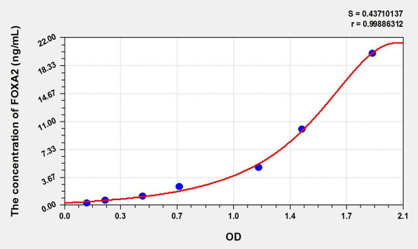 Mouse FOXA2 (Forkhead Box Protein A2) ELISA Kit (AEKE01631)