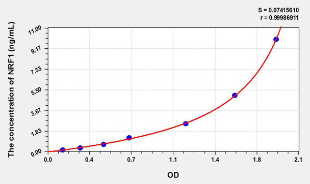 Rat NRF1 (Nuclear Respiratory Factor 1) ELISA Kit (AEKE01713)