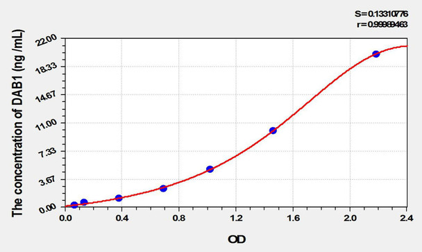 Rat DAB1 (Disabled Homolog 1) ELISA Kit (AEKE01991)