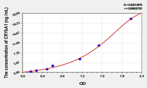 Mouse CRYbA1 (Crystallin Beta A1) ELISA Kit (AEKE02281)