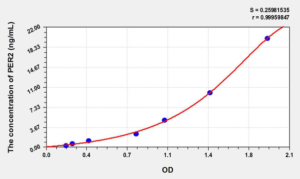 Rat PER2 (Period Circadian Protein 2) ELISA Kit (AEKE02545)