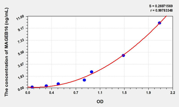 Mouse MAGEB16 (Melanoma Antigen Family B16) ELISA Kit (AEKE02603)