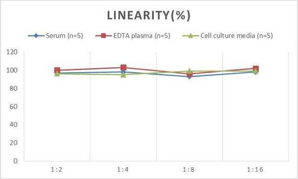 Human IGFBP-2 (Insulin-like Growth Factor Binding Protein 2) ELISA Kit (AEES00847)