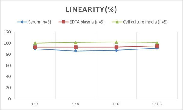 Human ANG (Angiogenin) ELISA Kit (AEES00876)