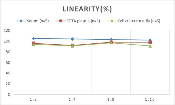 PicoGenie Human IFN-γ (Interferon Gamma) ELISA Kit (AEES02603)
