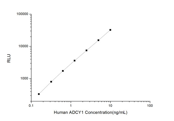 Human ADCY1 (Adenylate Cyclase 1, Brain) CLIA Kit (AEES03327)
