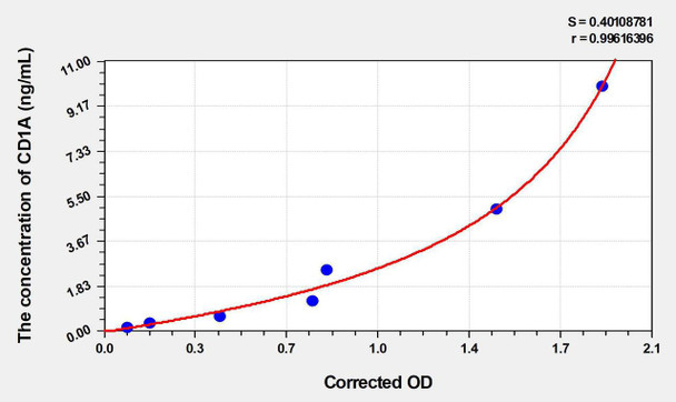 Rat CD1A (T-Cell Surface Glycoprotein CD1A) ELISA Kit (AEKE03589)