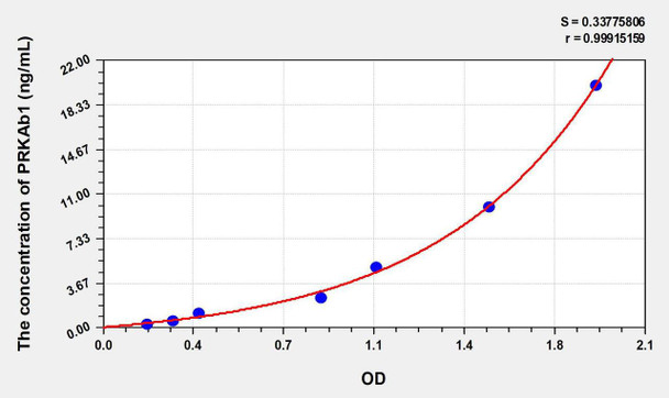 Human PRKAb1 (Protein Kinase, AMP Activated Beta 1) ELISA Kit (AEKE06507)