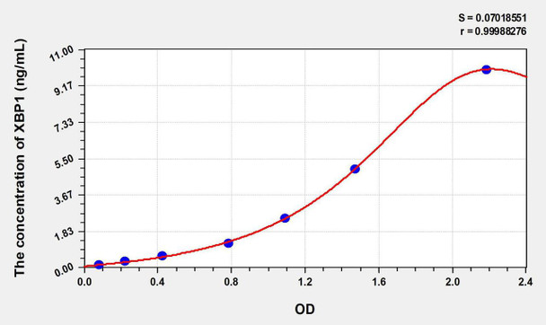 Human XBP1 (X-Box Binding Protein 1) ELISA Kit (AEKE07498)