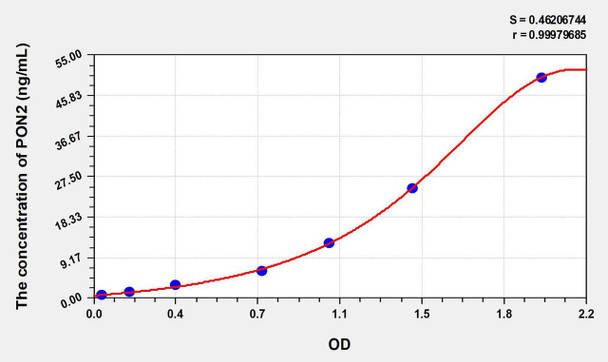 Human PON2 (Paraoxonase 2) ELISA Kit (AEKE08187)