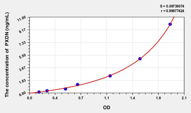 Human PXDN (Peroxidasin Homolog) ELISA Kit (AEKE09982)