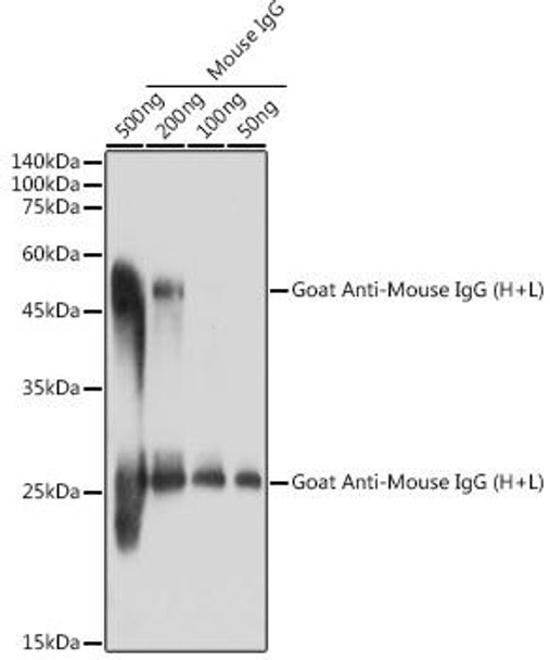 Anti-Goat Anti-Mouse IgG (H+L) Antibody (CABS071)
