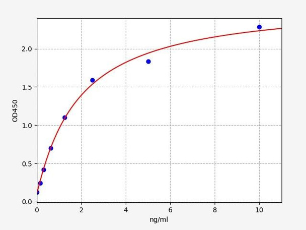 Human CNN1 / Calponin-1 ELISA Kit