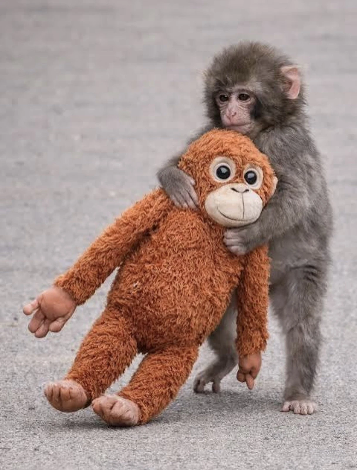 IKEA DJUNGELSKOG Orangutan Monkey Plush – Brown 26 Inch