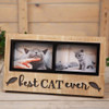 Best of Breed Illuminated Cat Double Photo Frame Battery Operated