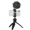 Content Creator Video Studio, Microphone, Mini Tripod and Phone Tripod Mount