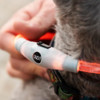 Innovagoods LED Pet Collar Petlux For Increased Pet Visibility at Night