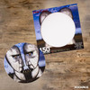 Pink Floyd The Division Bell Record Disc Puzzle (450 Piece Jigsaw Puzzle)