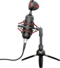 Trust GXT 244 Buzz USB Streaming Microphone, USB Microphone with Clear Audio