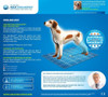 Aqua Coolkeeper Mat for Dogs XXL Size Western Pattern 100cm X 90cm