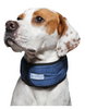 Aqua Coolkeeper Collar for Dogs XS Size for Small Dogs Pacific Blue