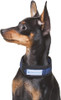 Aqua Coolkeeper Collar for Dogs XS Size for Small Dogs Pacific Blue