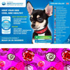 Aqua Coolkeeper Collar for Dogs XXS Size for Extra Small Dogs Roses