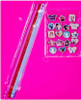 Disney Frozen 21 Piece Jewellery Set with 3 Bracelets and 18 Charms