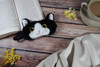 Cute Plush Cat Sleep Eyemask Black and White Cat