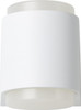 Eglo Briones Outdoor Wall Light, Cast Aluminium and Plastic, 3 W, White