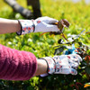 VGO Premium Geniune Goat Leather Puncture Resistant Gardening Gloves Medium
