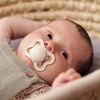 MAM Supreme Dummy Silicone Soother 6 Months + Koala Design with Steriliser Case