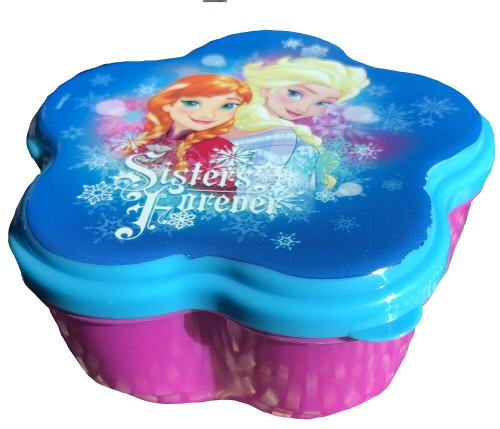 4 Pack of Disney Frozen Anna and Elsa Tiny Storage Boxes
