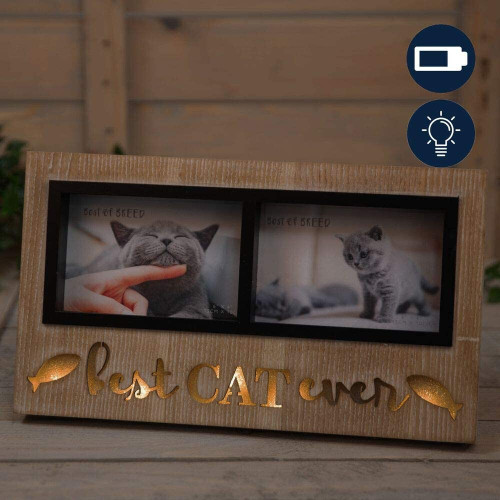 Best of Breed Illuminated Cat Double Photo Frame Battery Operated