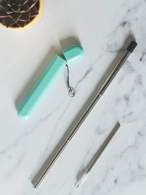 Lund London Plant Travel Straw Reusable Stainless Steel Straw & Case Mint