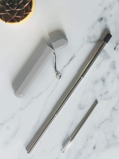 Lund London Plant Travel Straw Reusable Stainless Steel Straw & Case Grey