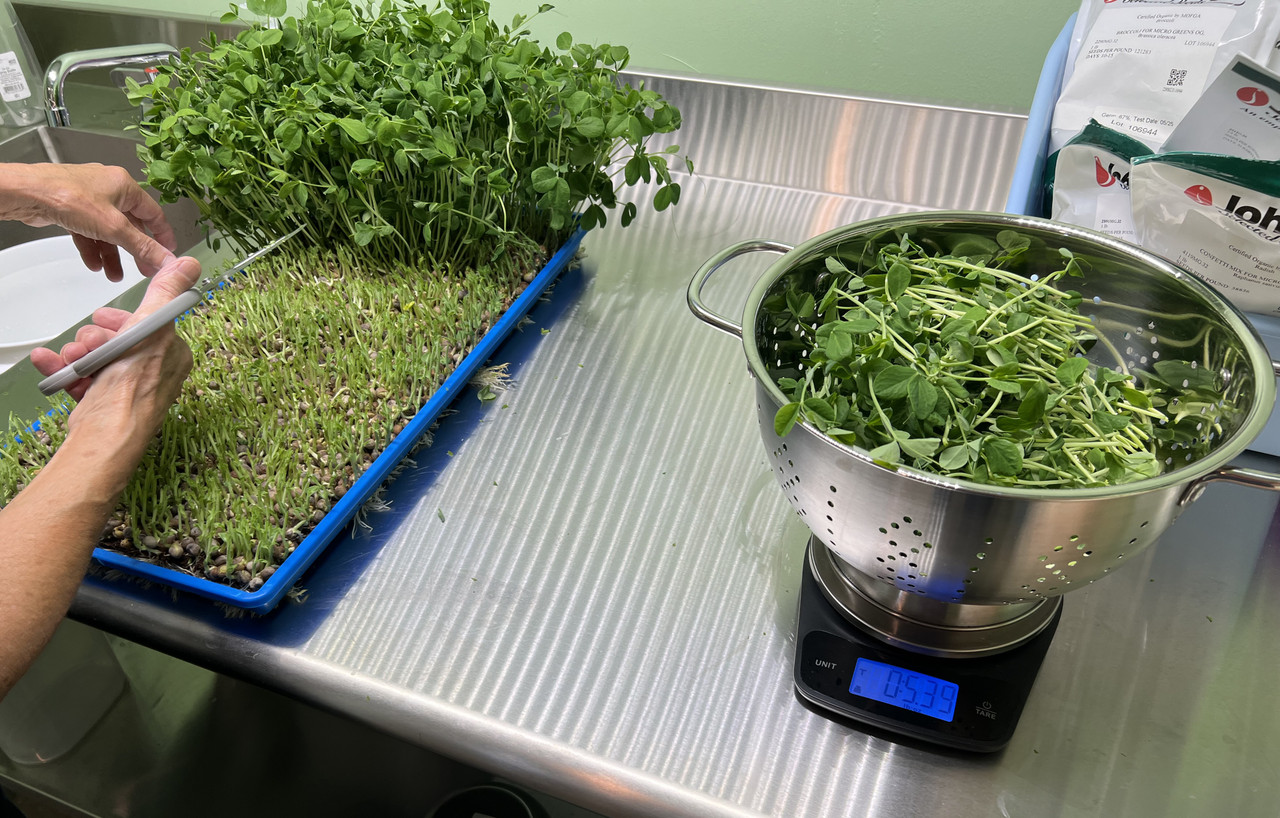 Restaurant Wholesale