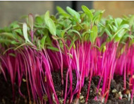 Your first blog post!