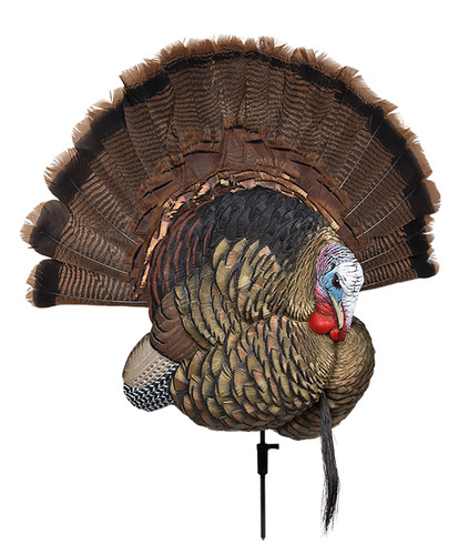 AVIAN AVXAVX8021   TROPHY TOM               DECOY