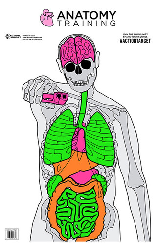 ACTION GSANATOMY100   ANATOMY SILHTE VITALS  100BX