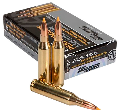 SIG E243V1-20      ELITE H V&P 243   55 GR   20/10