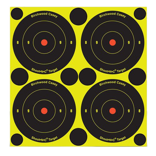 BIR 34550          SHOOT-N-C 6"  BULLSEYE     60PK