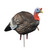 HIGDON 63144 HARD BODY 1/4 STRUT TURKEY JAKE DECOY