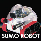 Sumo Robot Troubleshooting