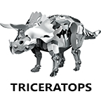 Triceratops Parts